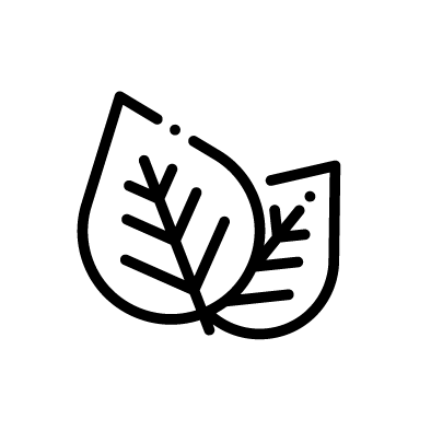 Vegà Vegà