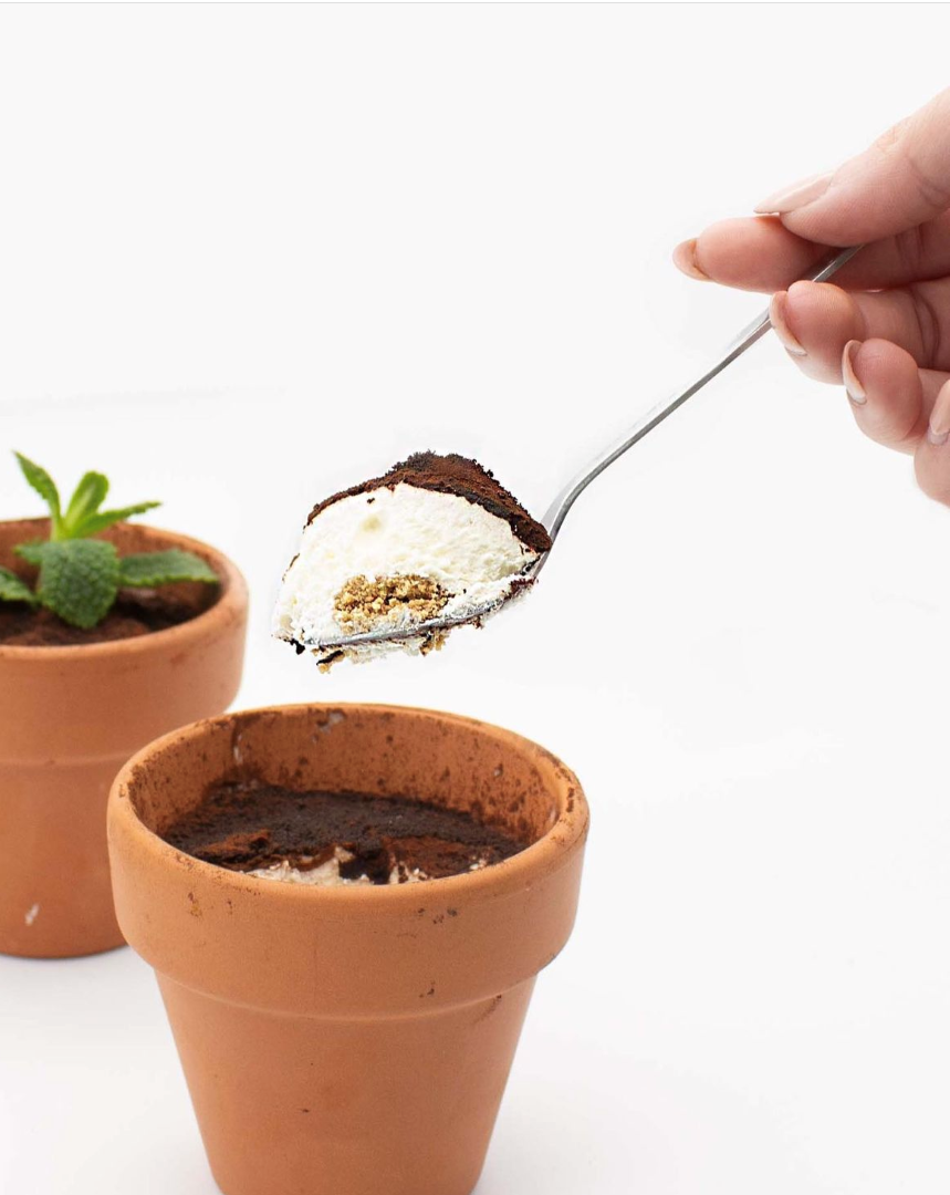 Planta de Tiramisú